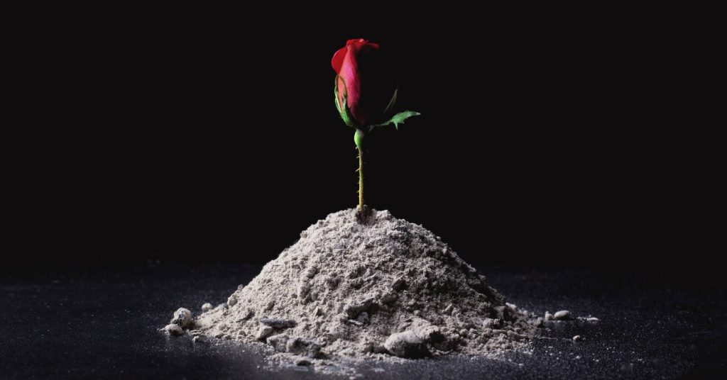 cremation ashes